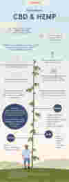 Final infographic hemp infographicdraft1