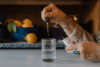 Joy Organics CBD: Woman adding a drop of Populum CBD oil to a glass of water